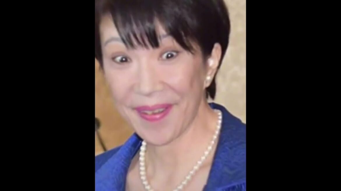 政府議員ALL STARS　#TikTok #麻生太郎#高市早苗#小泉進次郎