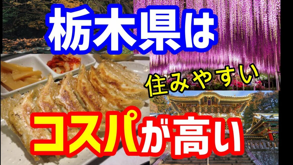 コスパ最強の地方移住!!都心から宇都宮移住体験 コスパ最強の地方移住!!都心から宇都宮移住体験