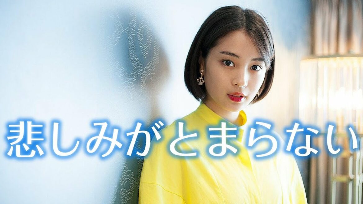 悲しみがとまらない -杏里 - 【広瀬すずフォトムービー】