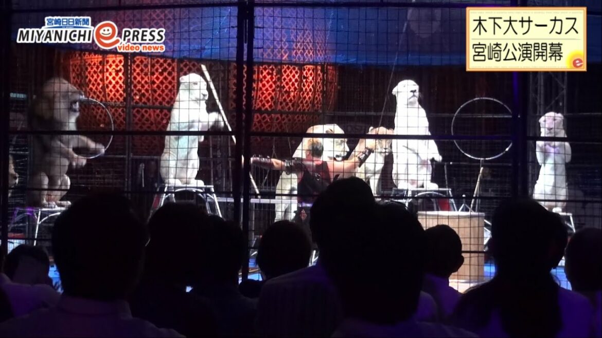 木下大サーカス宮崎公演開幕