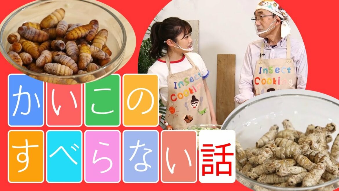 😁😁かいこのすべらない話😍😁｜Part1｜昆虫食｜井上咲楽