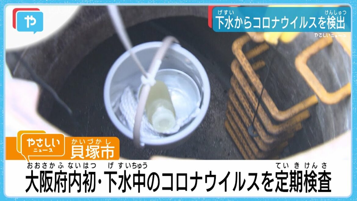 大阪・貝塚　下水から新型コロナウイルスを検出