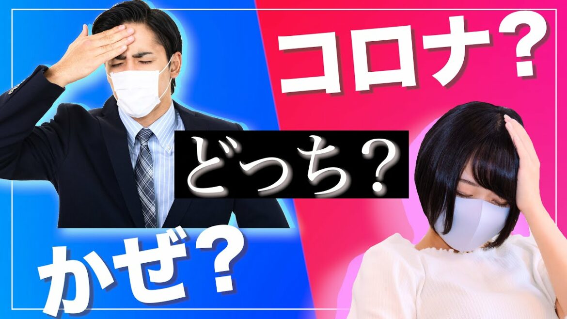 風邪 と コロナ の見分け方 【初期症状の違い】