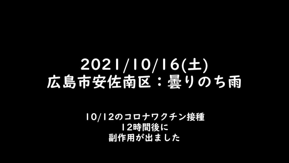 2021/10/17 コロナワクチン接種後の感想等 2021/10/17 コロナワクチン接種後の感想等