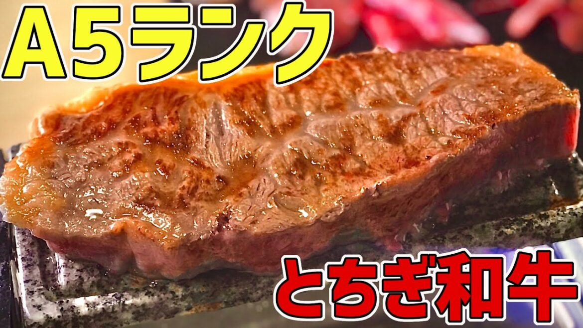 栃木の老舗店を救え！Twitterで話題になったとちぎ和牛を提供する美食らいらいさんが営業再開に向けて頑張ってるので微力ながら手伝ってみた！【美食磊茘】【高級焼肉】