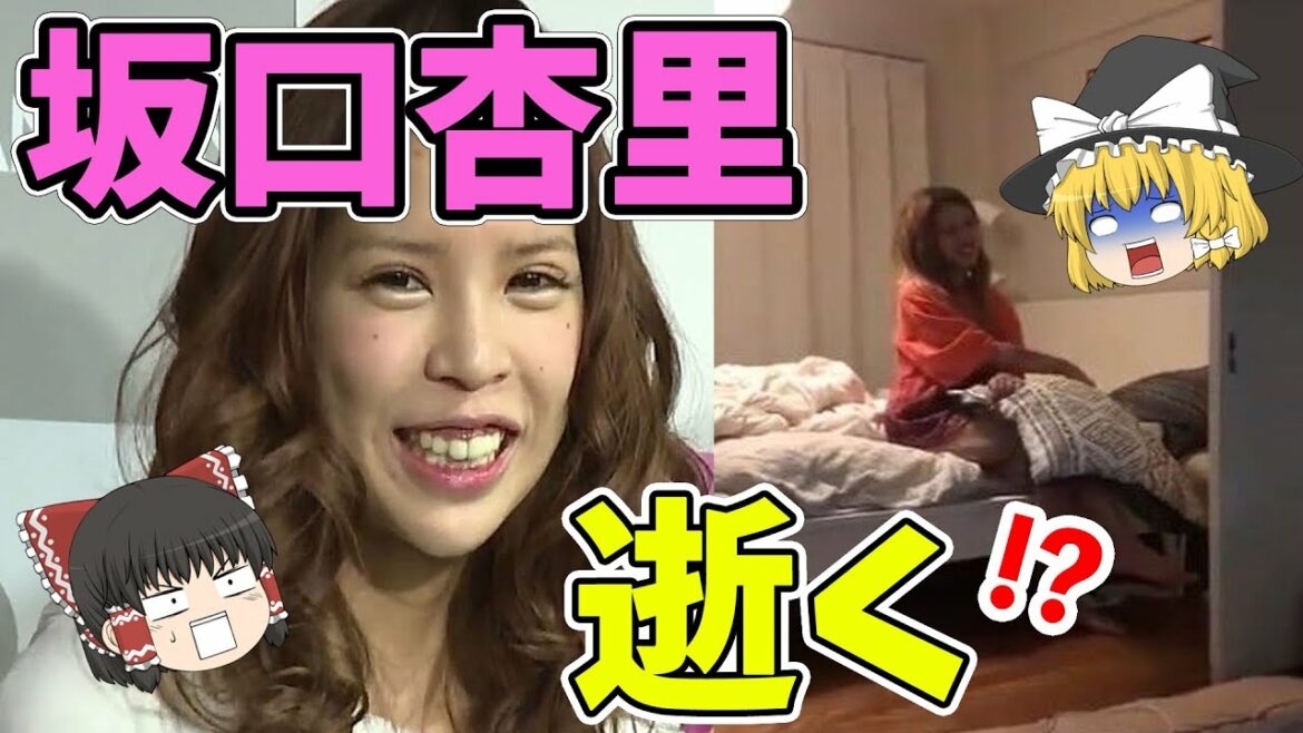 【ゆっくり解説】坂口杏里の妄想が悪質すぎる…どんどん壊れていく彼女がかわいそうになってきた…