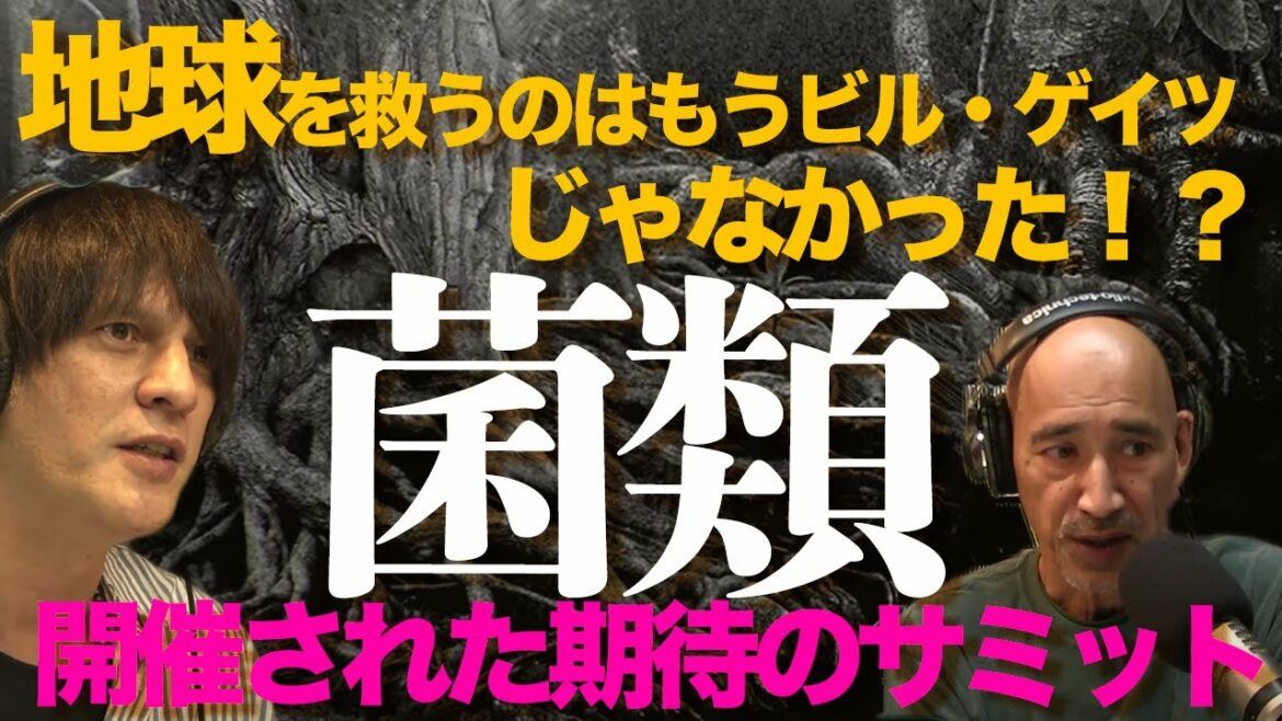 地球を救うのはもうビル・ゲイツじゃなかった？地球の諸問題を解決しそうなFungiについてサミットが行われていた【陰謀コーナーベストセレクション】