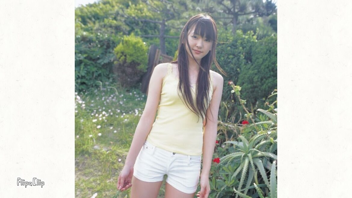 新垣結衣　レア水着
