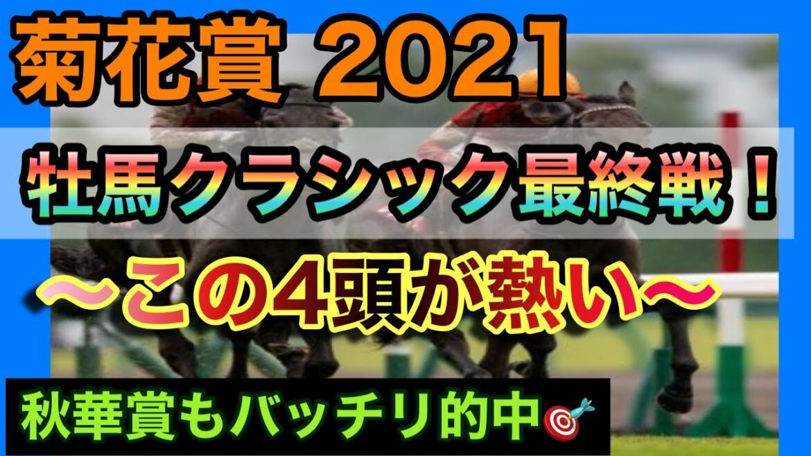 菊花賞 2021 波乱も含めて馬券構成する!!【競馬予想】