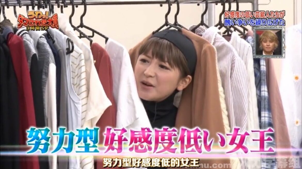 ✅ダマされた大賞✅ 矢口真里~勢力型好感度低い女玉「内村光良❌羽鳥慎一」
