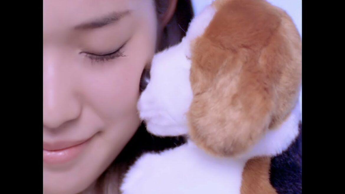 I WiSH (川嶋あい) - 明日への扉