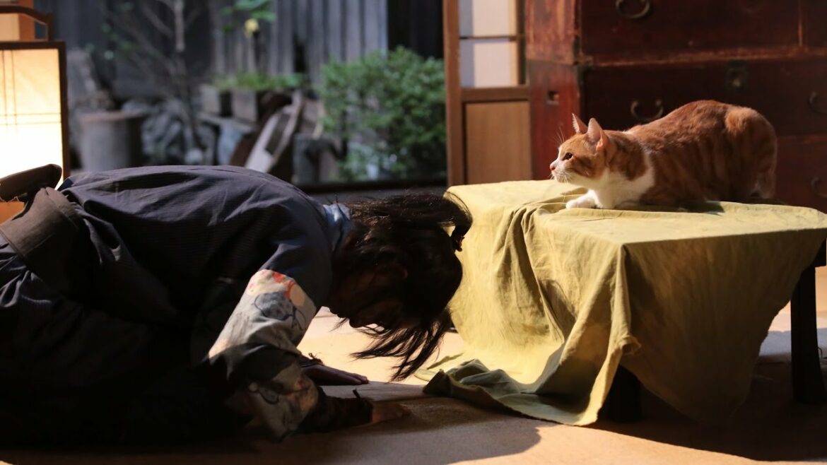 大野拓朗主演！映画『猫忍』特報