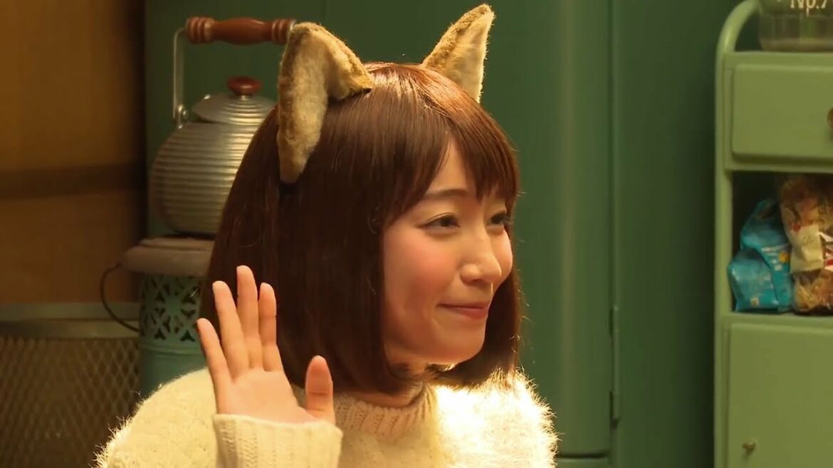 MusicVideo・Video　星野源・吉岡里帆『どん兵衛』・Music『She's My Kind Of Girl ■MV.No13■00:02:41