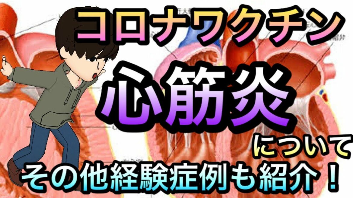 経験症例も踏まえてコロナワクチン後心筋炎について　特徴やその他ワクチン後の経験症例の感想を