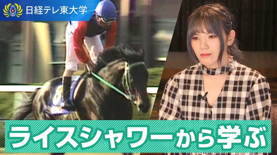 【ライスシャワーに学ぶ】頑張っても褒められない人へ