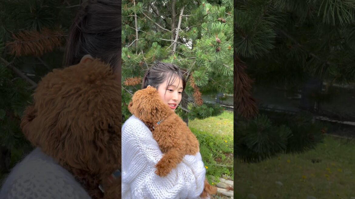 福本莉子に落ち着くワンちゃん～ヨシヨシ～【写真集発売決定！メイキング】 #Shorts