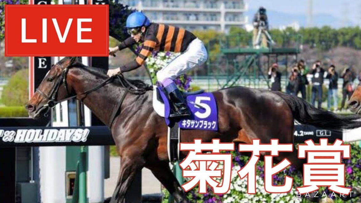 【競馬中継】『 菊花賞 』 ~  ★予想バトル開催中★ 【競馬中継】『 菊花賞 』 ~  ★予想バトル開催中★
