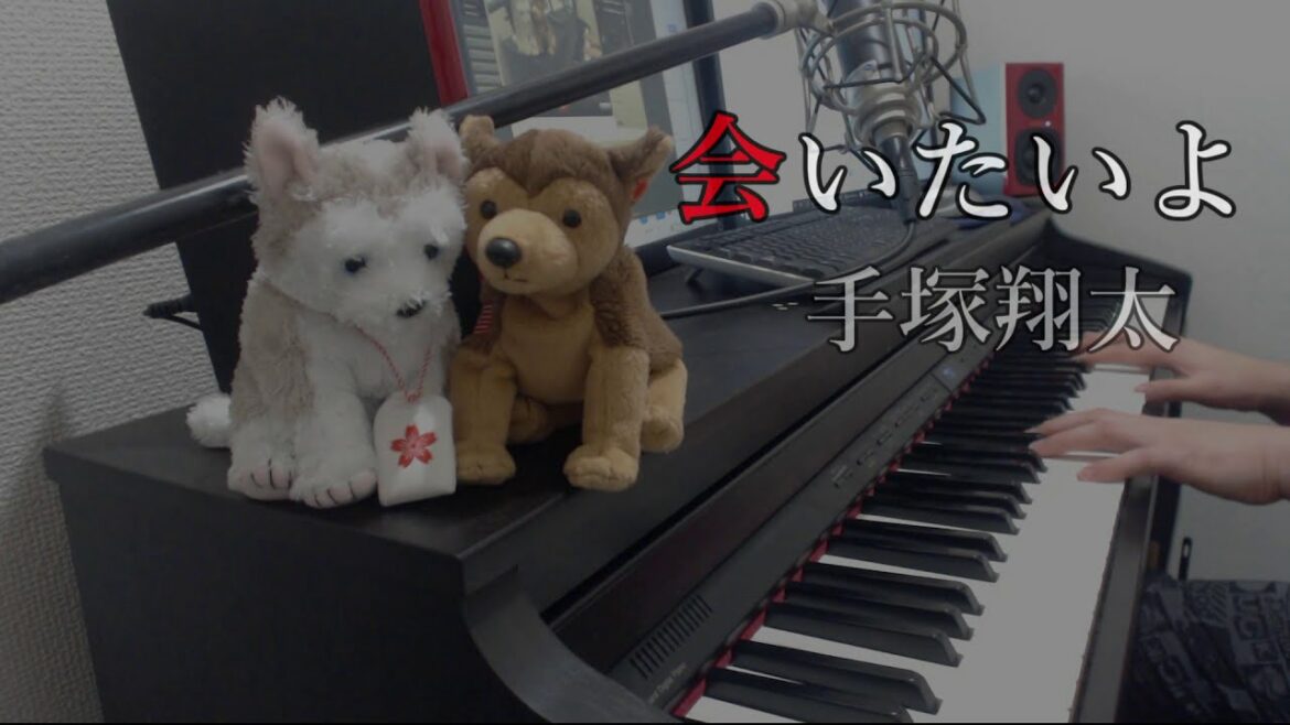 会いたいよ / 手塚翔太 (田中圭) ピアノ【あなたの番です】