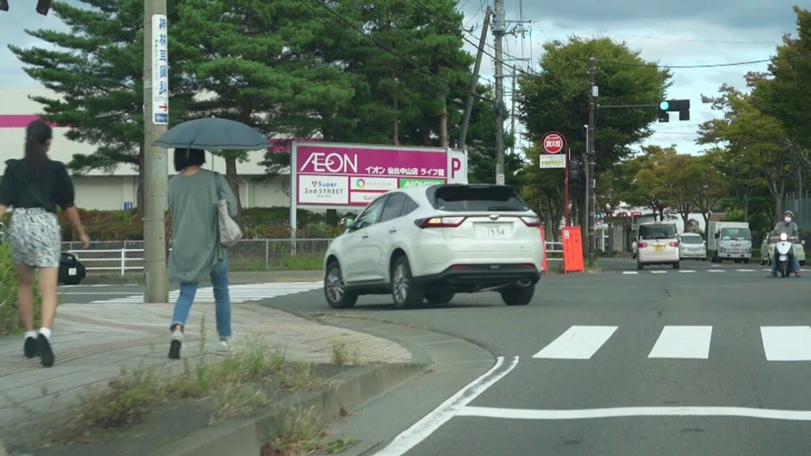 【衝撃映像・閲覧注意】国道で女子高生の死亡事故