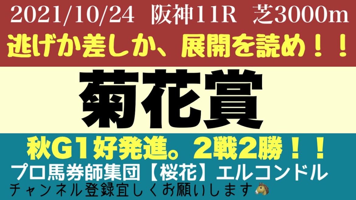 エルコンドル氏の菊花賞2021予想 近年稀にみる波乱含みの好レース!菊花賞を勝つのは最も強い馬! プロ馬券師集団『桜花』 エルコンドル氏の菊花賞2021予想 近年稀にみる波乱含みの好レース!菊花賞を勝つのは最も強い馬! プロ馬券師集団『桜花』