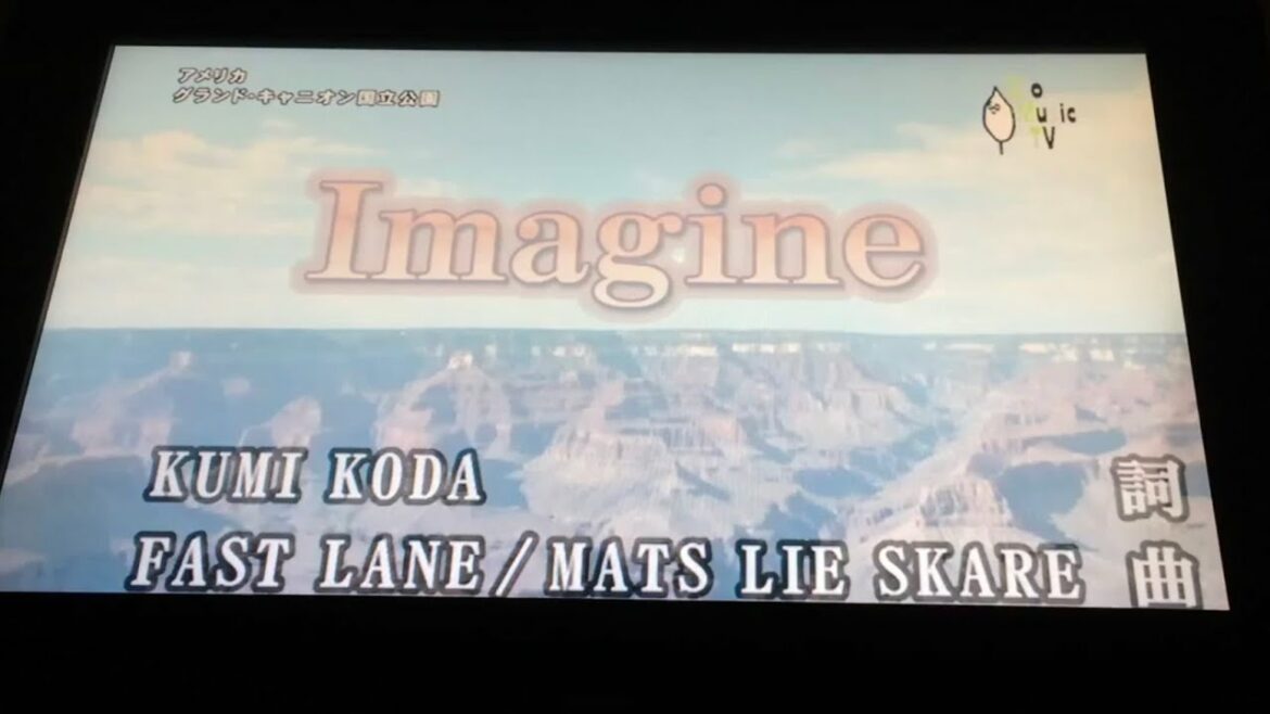 Imagine / 倖田來未 【歌ってみた】