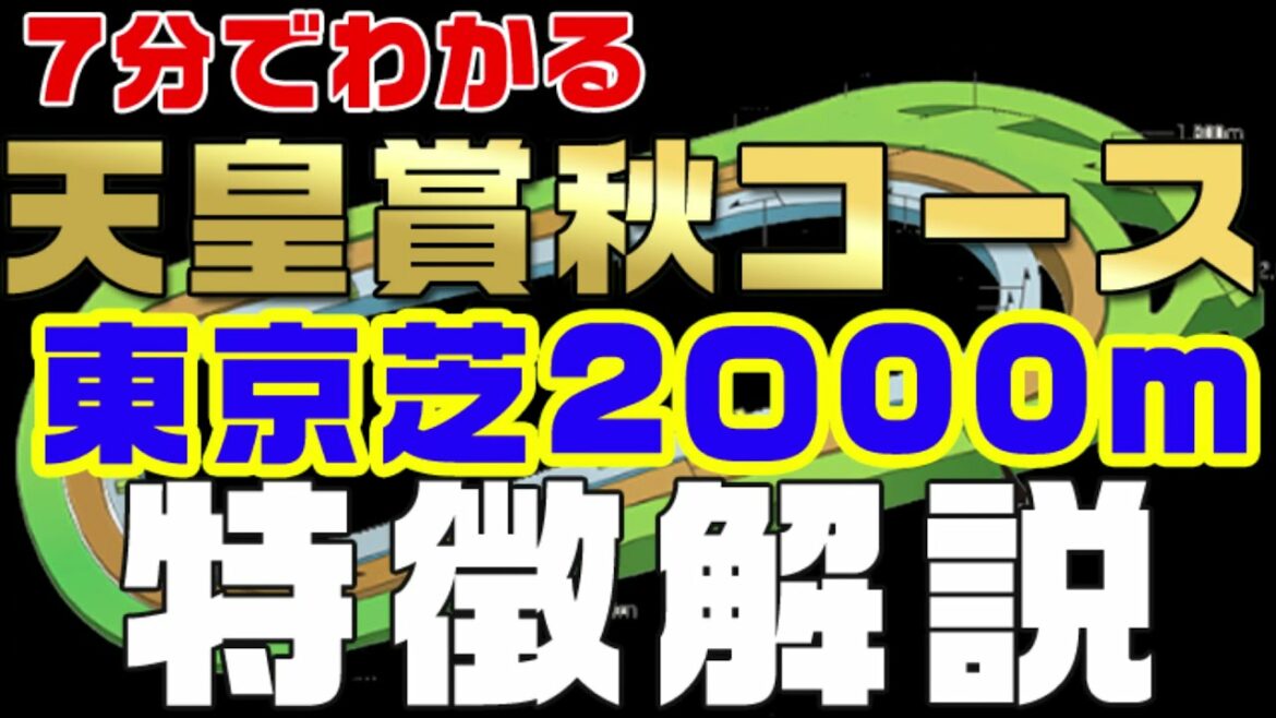 【天皇賞秋】7分でわかる東京芝2000mの特徴解説（天皇賞秋コース）、初心者の方にも楽しんでもらえるような分かりやすい解説を心がけています。コースの特徴を考えの中に組み込むとより面白くなります