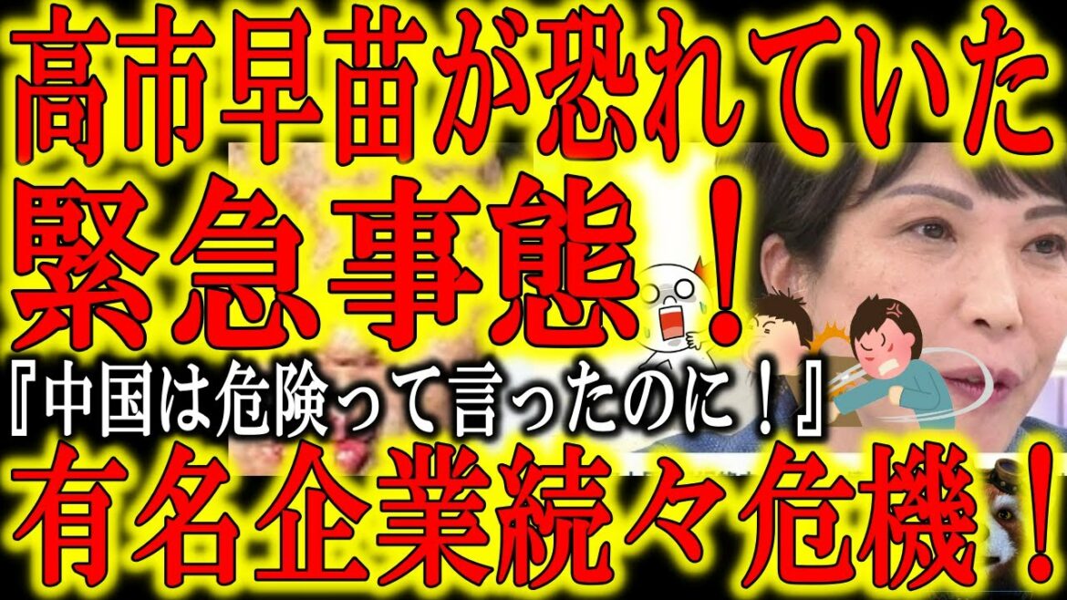 【『高市早苗が恐れていた事態に！』日本の超有名企業が中国会社法によって上場廃止危機！】社内に中国共産党組織を作られた日本企業が会社内を掌握され不正会計続出の結果、まさかの上場廃止危機！レナウン等続々経