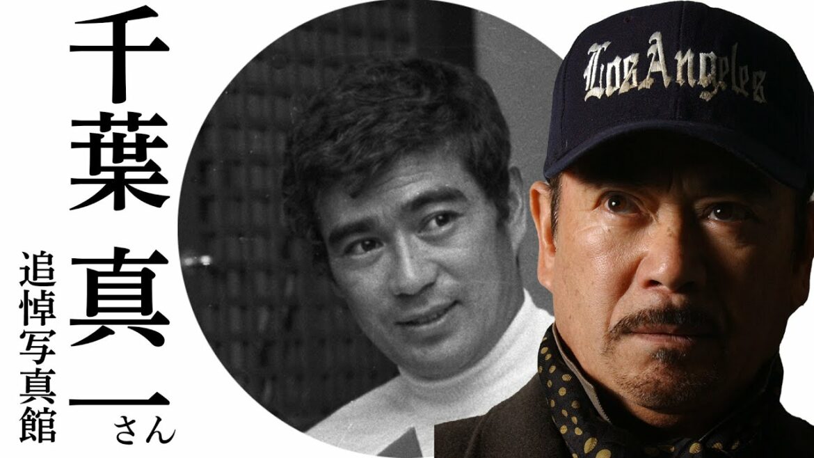 千葉真一さん 写真館動画【日刊スポーツ】 千葉真一さん 写真館動画【日刊スポーツ】