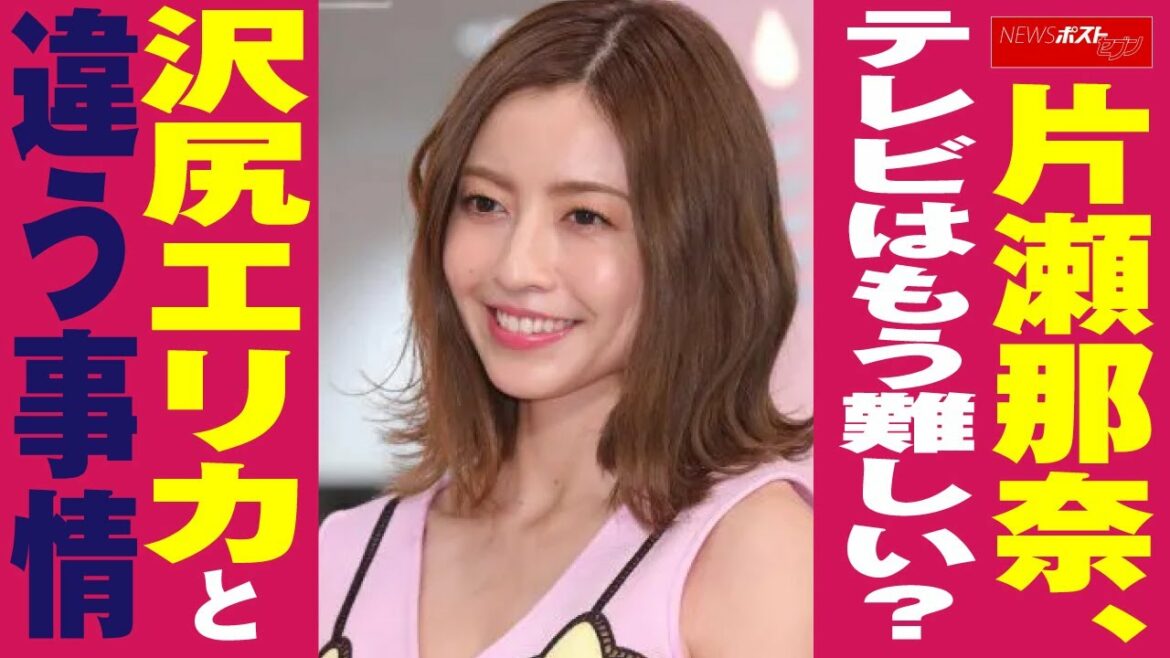 片瀬那奈　テレビ はもう難しい？ 沢尻エリカ と違う 事情 NEWSポストセブン