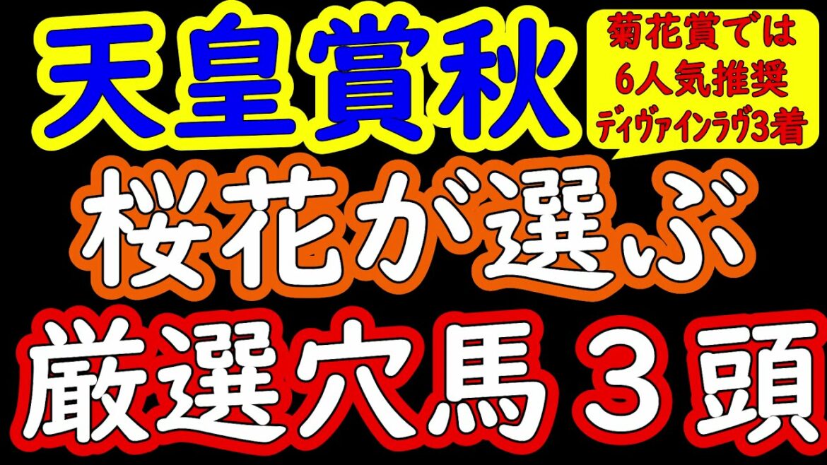 天皇賞秋2021桜花が選ぶ厳選穴馬３頭　コントレイル・グランアレグリア・エフフォーリアの３強人気だからこそ穴馬が付ける隙は出来てくる！小さな隙を突く大きな武器を持った穴馬は！？　プロ馬券師集団『桜花』