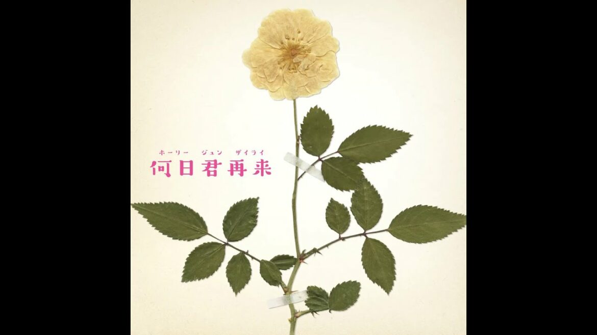 高畑充希 (Mitsuki Takahata) - 何日君再来