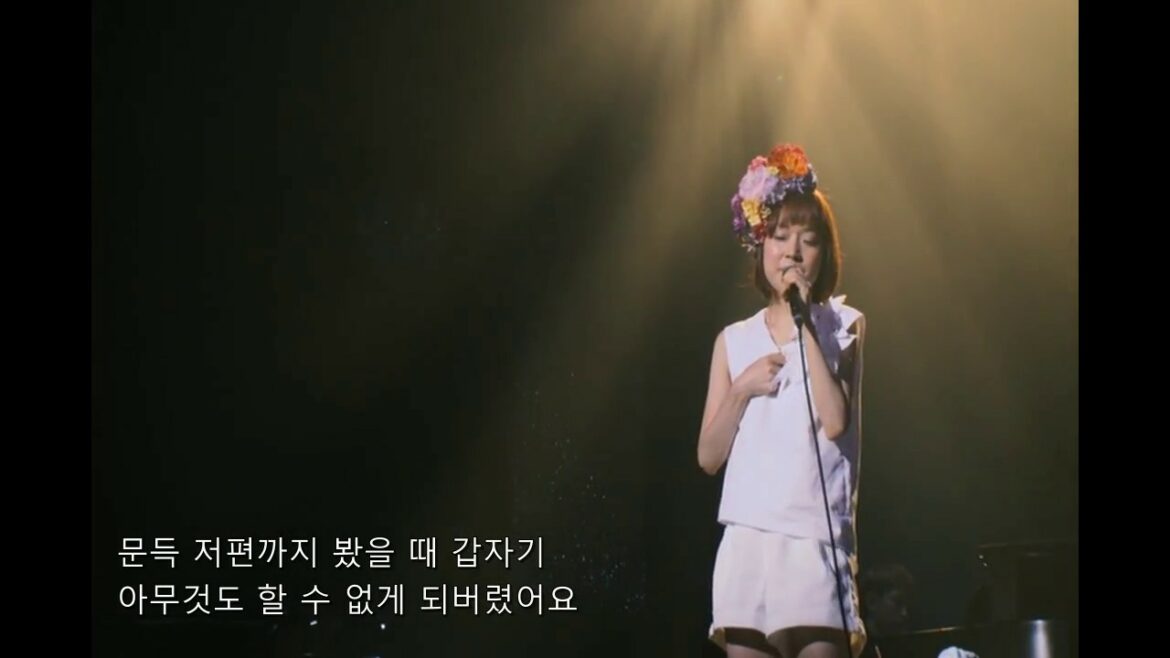 川嶋あい Kawashima Ai - [LIVE] 流れ星 한국어 자막