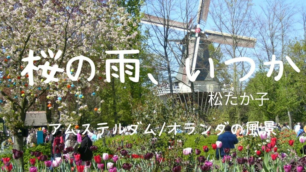 桜の雨、いつか/松たか子(歌詞入り CCボタンで表示）女性ピアノ弾き語り　ドラマ「お見合い結婚」主題歌  Takako Matsu   Sakura no ame itsuka　yuneカバー