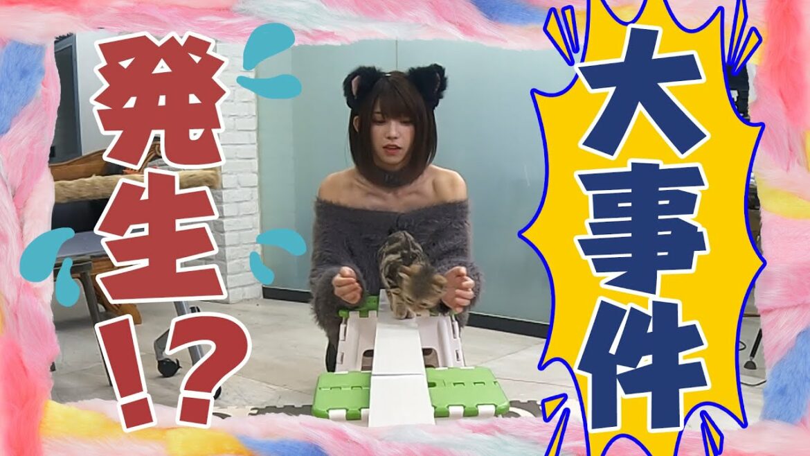 【#5】「えなこ×さらば森田の猫しか勝たん」地上波と同時配信！