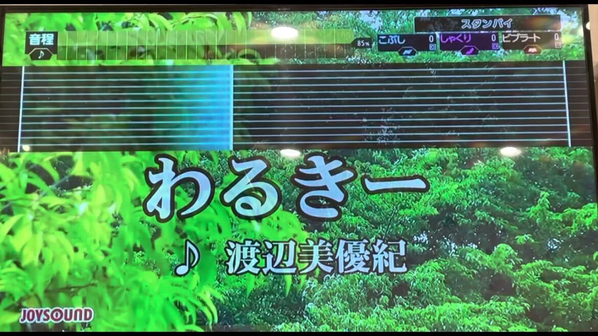 【88.565点】【わるきー／渡辺美優紀】歌ってみた🎤カラオケ