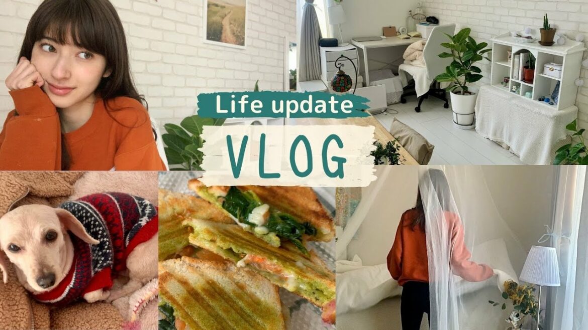 【VLOG】リアルルーティーン / 今の食生活 / 潰瘍性大腸炎・IBSの改善 / ダイエット? /  Vegan簡単レシピ ...more!!