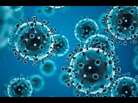 Here are all latest updates on COVID-19 pandemic | WION English News Here are all latest updates on COVID-19 pandemic | WION English News