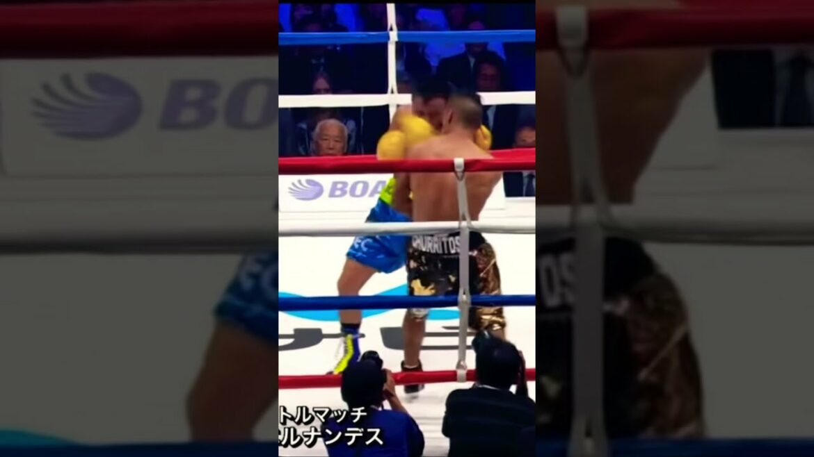 比嘉大吾 VS ファン・エルナンデス 戦「フィニッシュ」ベルトを獲得し王者に！#shorts#ボクシング#boxing#比嘉大吾#ボクシング世界戦#タイトルマッチ