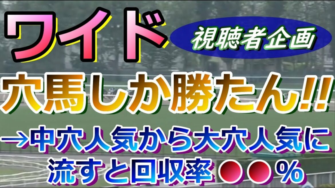 【競馬検証:視聴者コメント企画】ワイドで中穴から大穴に流した馬券を検証したら、なぜかやる気が出る結果にｗ