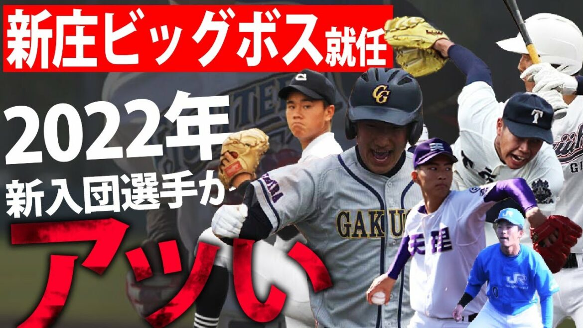 【大注目】新庄剛志ビッグボス就任の北海道日本ハムファイターズ！達、有薗など新入団選手が楽しみすぎる！