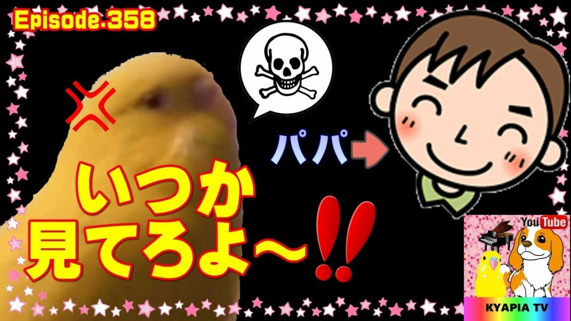 犬とインコとお父さんの微妙な距離感358　parakeet budgie Cockatiel
