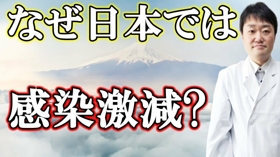 日本で新型コロナ感染が激減した本当の理由