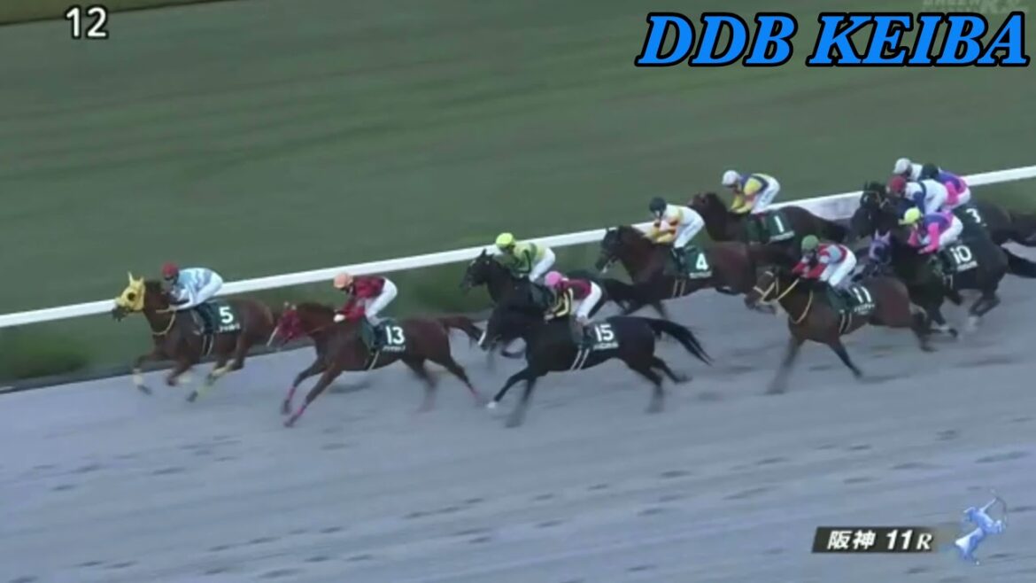 みやこステークス2021 レース結果(ファンファーレ〜レース映像) ダート良馬場決着は果たして！？