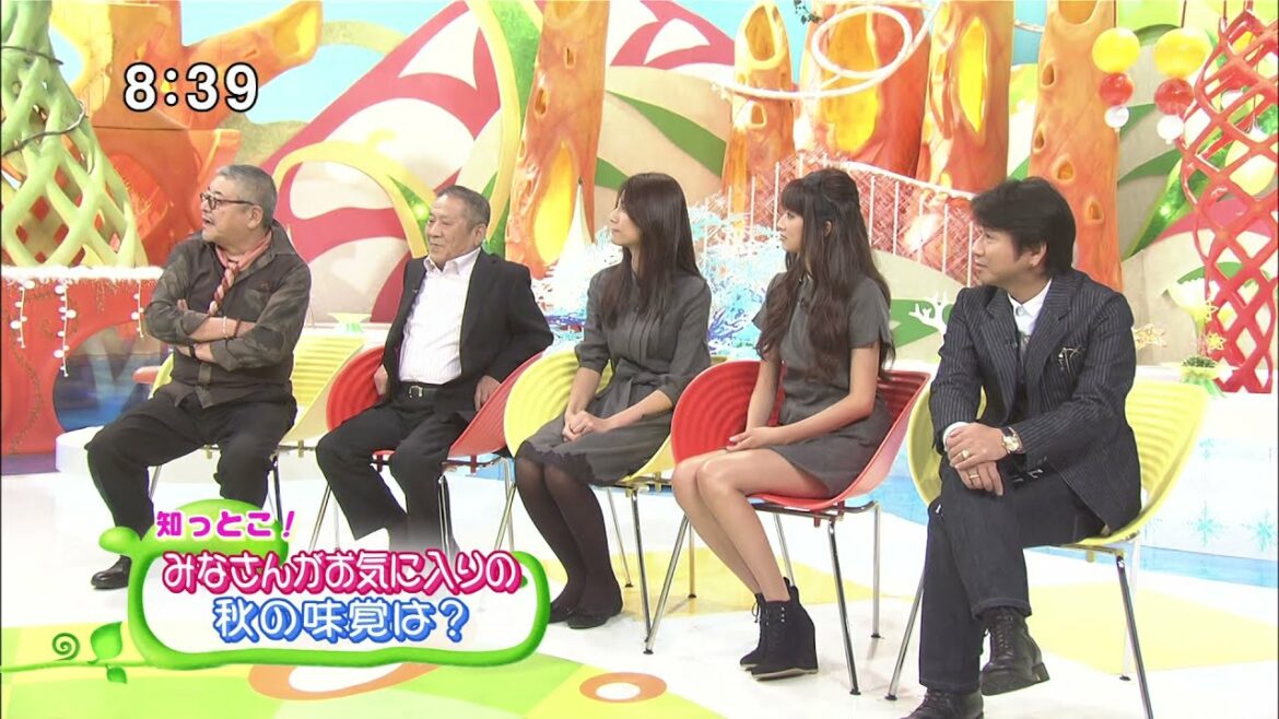 2010年10月02日 ＴＢＳテレビ  知っとこ！松下奈緒　黒タイツ