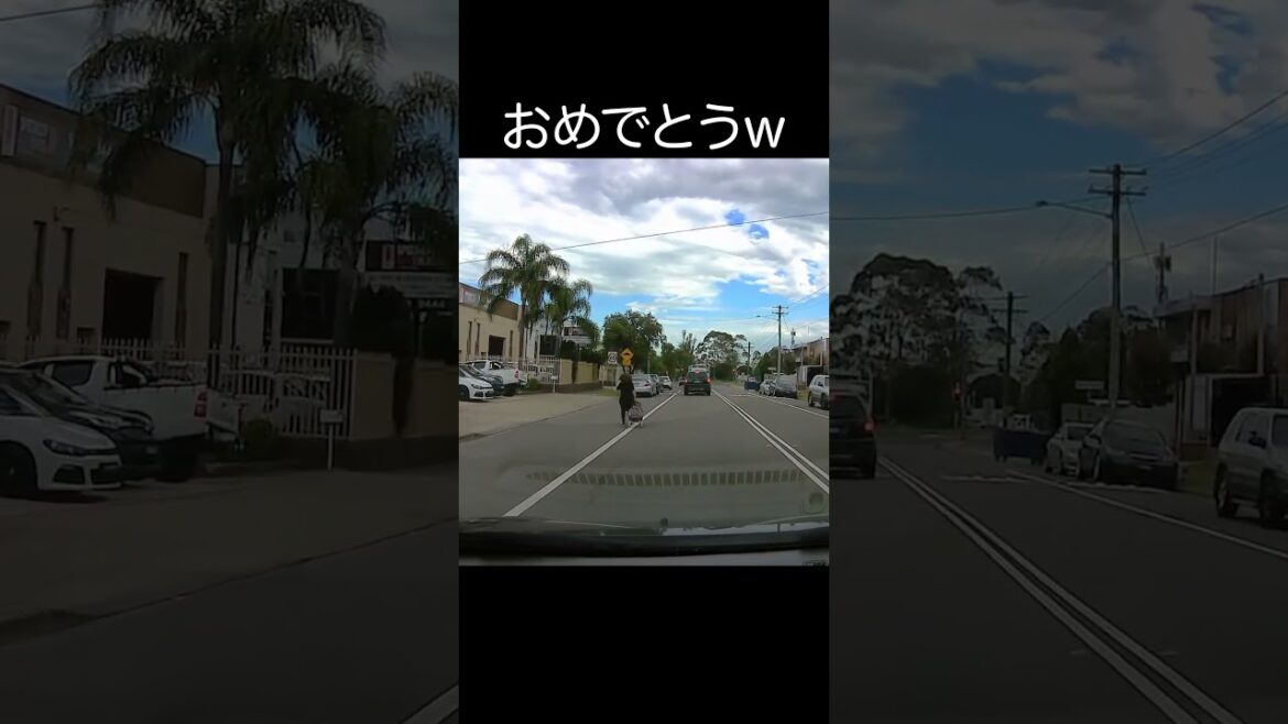 【ドラレコ衝撃映像】おめでとうw #shorts