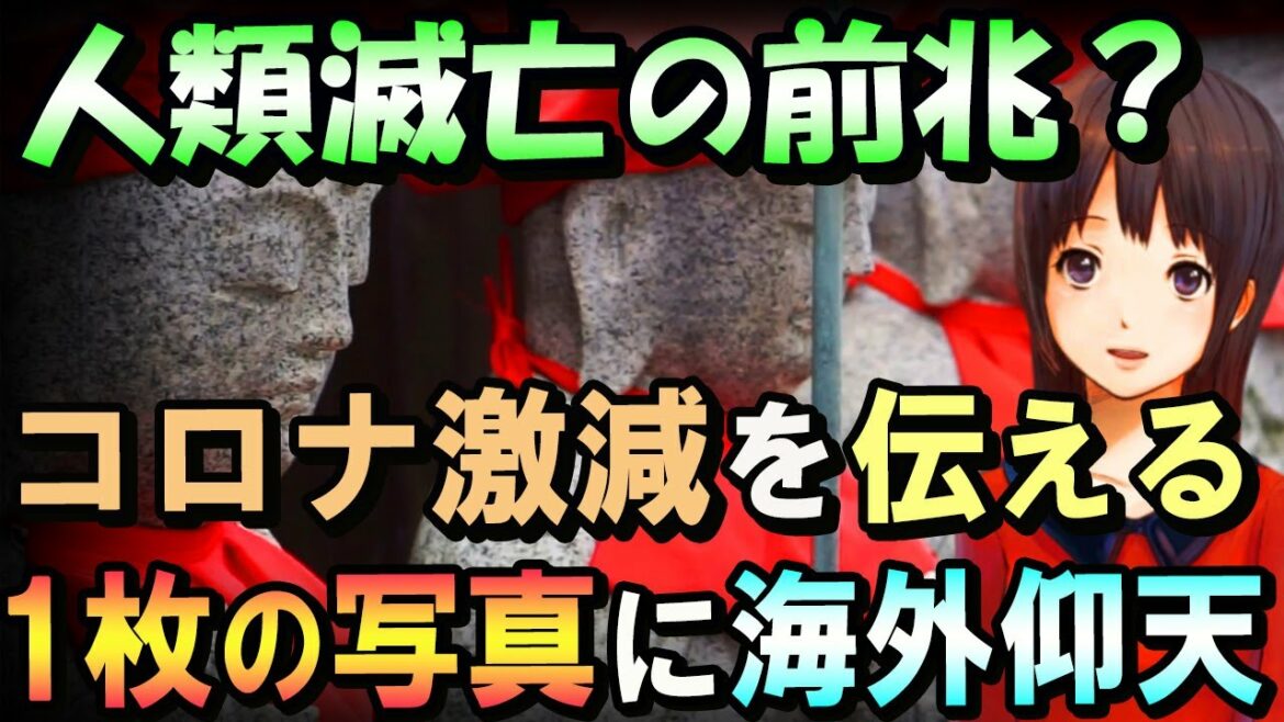 【海外の反応】「まるで芸術作品」日本のコロナ感染者数激減の理由が新たな切り口から発見され海外が驚愕「でも真似できない」「日本はあんなものにまでマスクを強要するんだね」