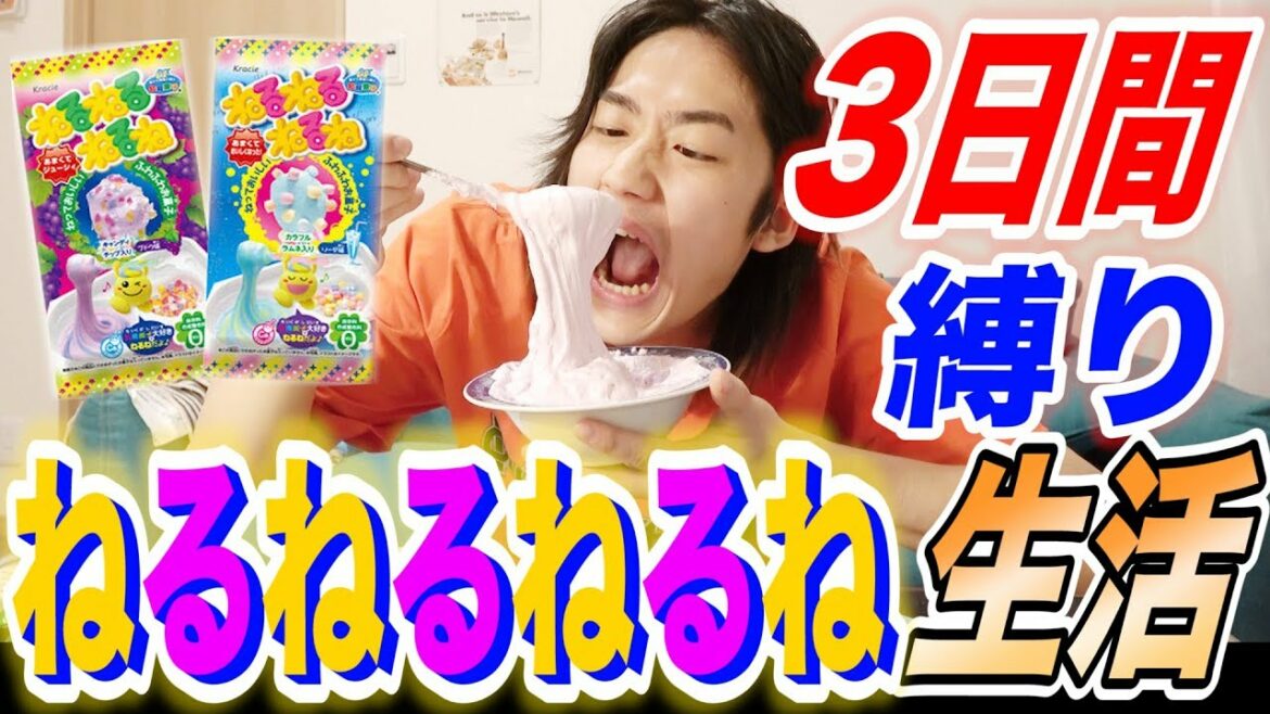 【はるくん編】3日間ねるねるねるねだけで生活できるのか？【縛り生活】