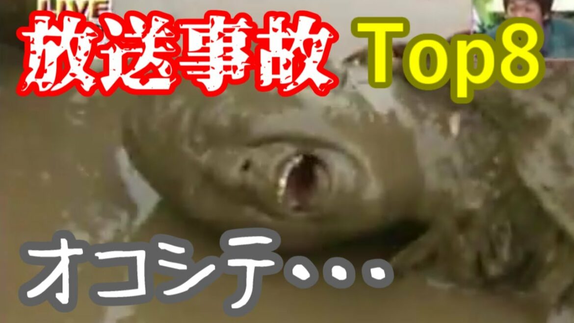 【観覧注意】西園寺蒼翔が選ぶ放送事故ランキング　Top8【考察】