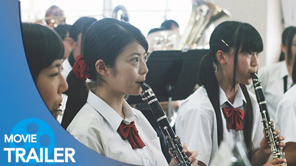 【予告編#1】カランコエの花 (2016) – 今田美桜,永瀬千裕,笠松将 【予告編#1】カランコエの花 (2016) - 今田美桜,永瀬千裕,笠松将