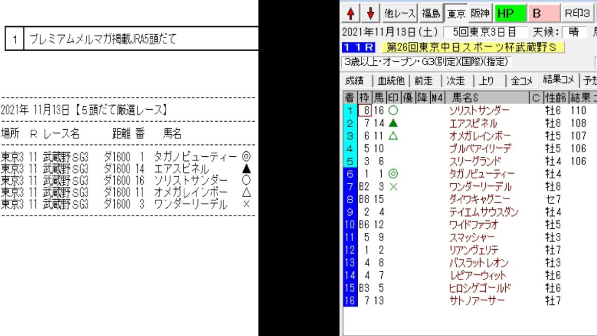 競馬予想メールマガジン配信結果 2021年11月13日 5頭BOX 1戦1勝